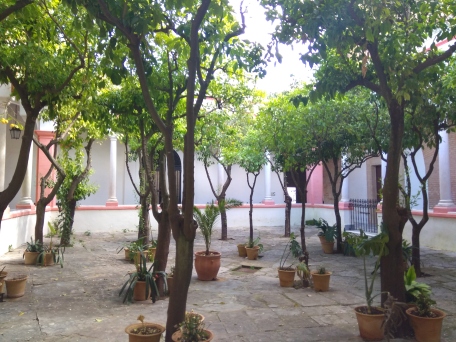 Orange trees courtyard of La Oliva