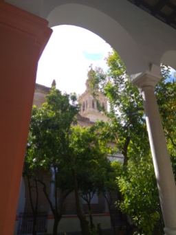 Bell tower from the orange trees courtyard