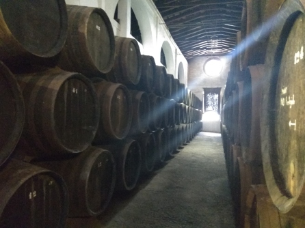 Halcón winery